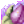 Fruit of Extinction