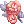 Rose of Choice