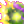 Circulation of Life