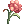 Physical Flower 1Lv