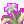 Illusion Flower